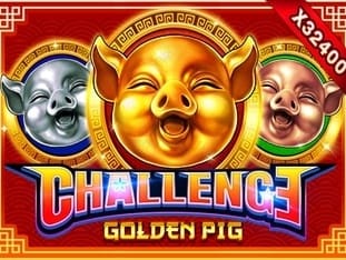 Challenge Golden Pig icon